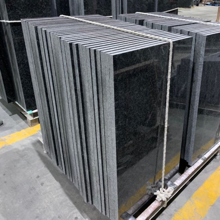 Angola Black Granite Floor Tile