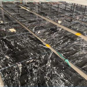 Portoro Schwarzer Granit